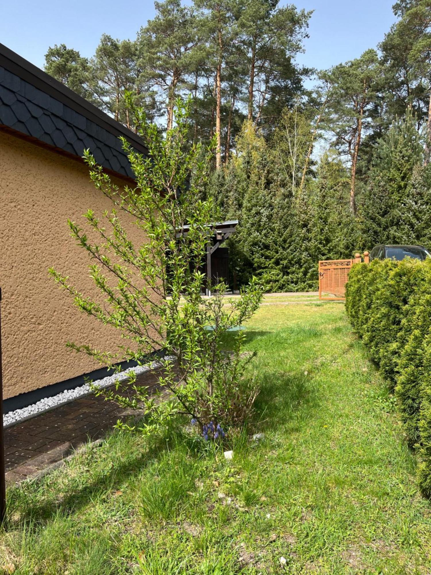Ferienhaus Fjola Schenkendobern 외부 사진