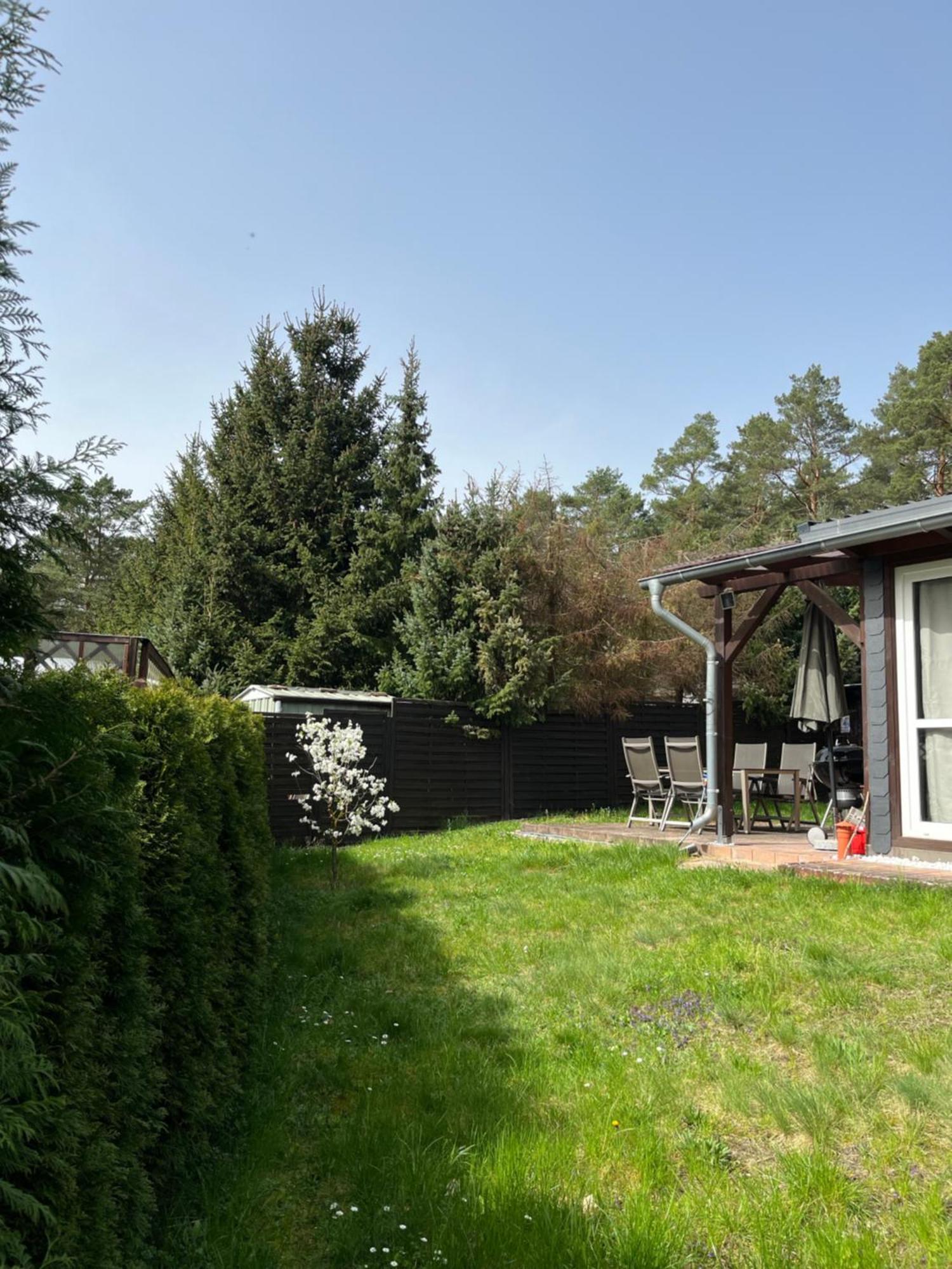 Ferienhaus Fjola Schenkendobern 외부 사진